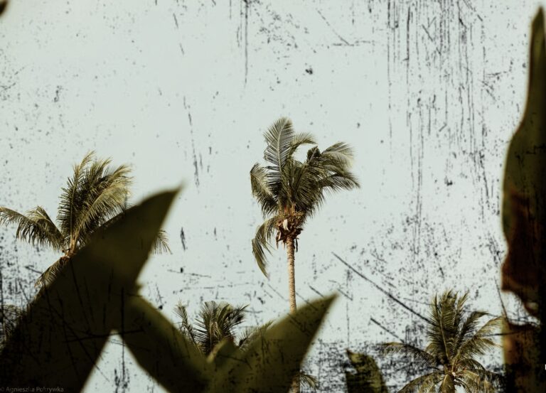 Ucieczka przed rzeczywistością czy sposób na życie?